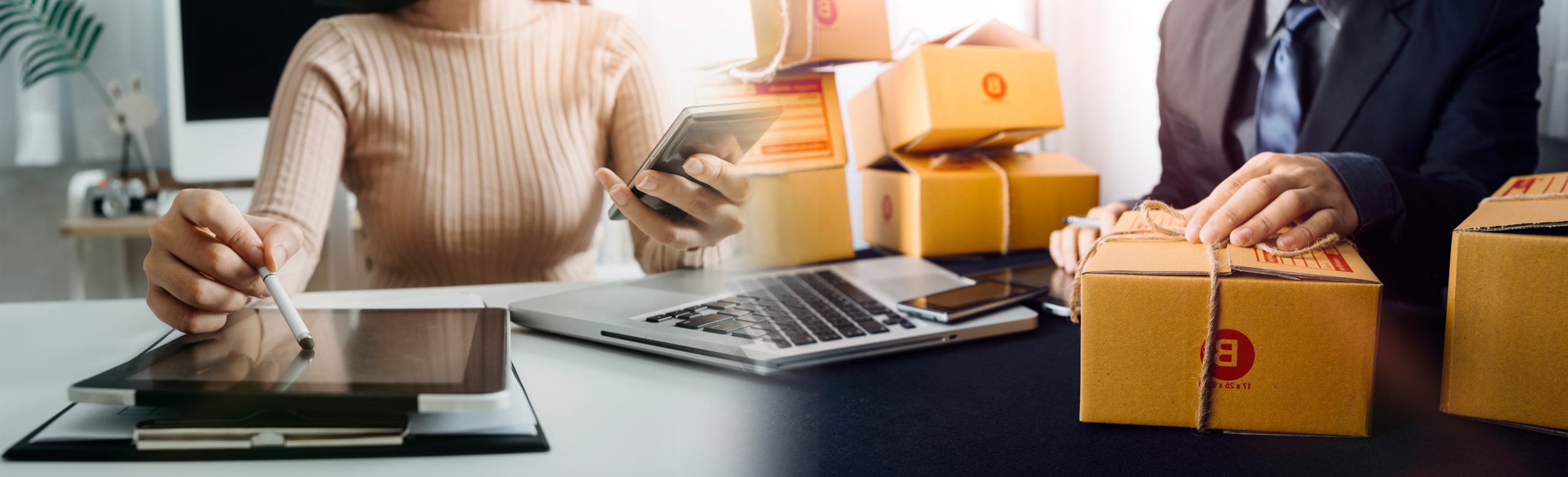 Young woman small business owner online shopping at home